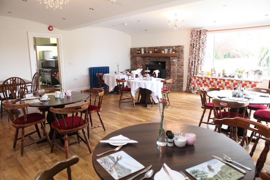 The Briers Bed and Breakfast Newcastle  Eksteriør billede